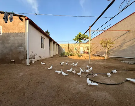Şüvəlan
