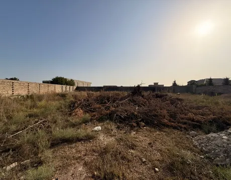 Şüvəlan