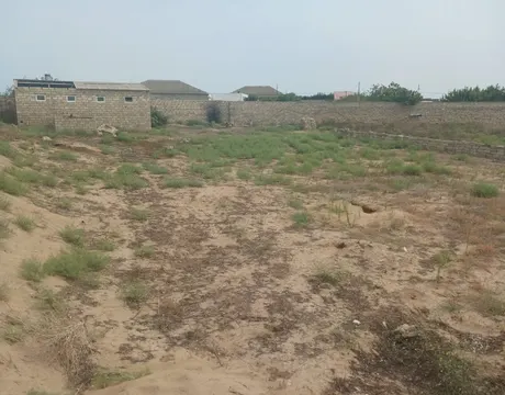 Nardaran