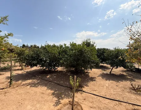 Şüvəlan