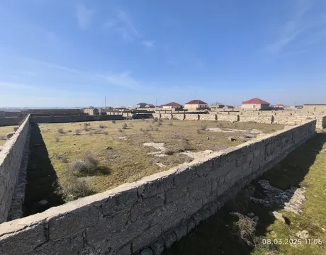 Türkan