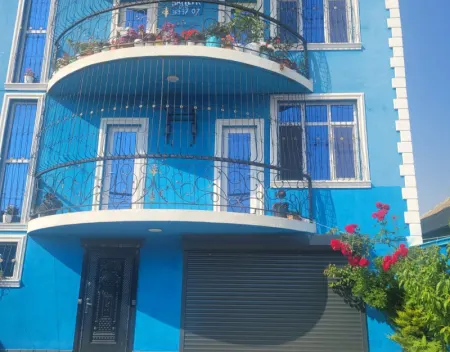 Zığ
