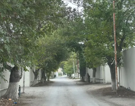 Nardaran