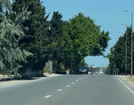 Şüvəlan