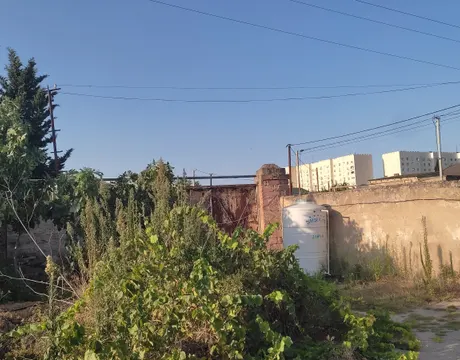 Buzovna