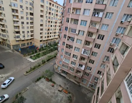 Zığ
