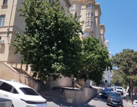 Bayıl