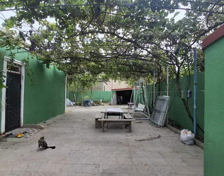 Pirşağı