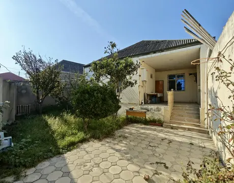 Zabrat 1