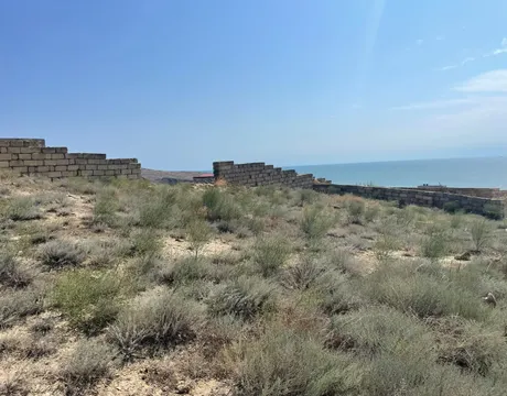 Şıxov