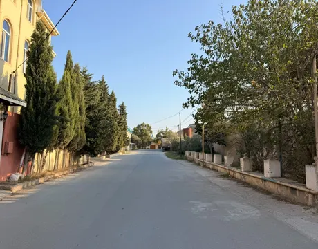 Şağan