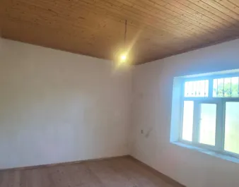 Yeni Suraxanı