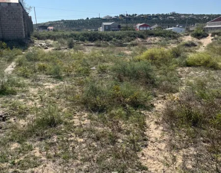 Dübəndi bağları
